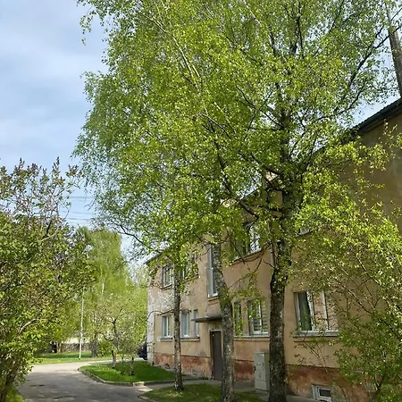 Апартаменты Quiet And Peaceful Close To The Center Рига